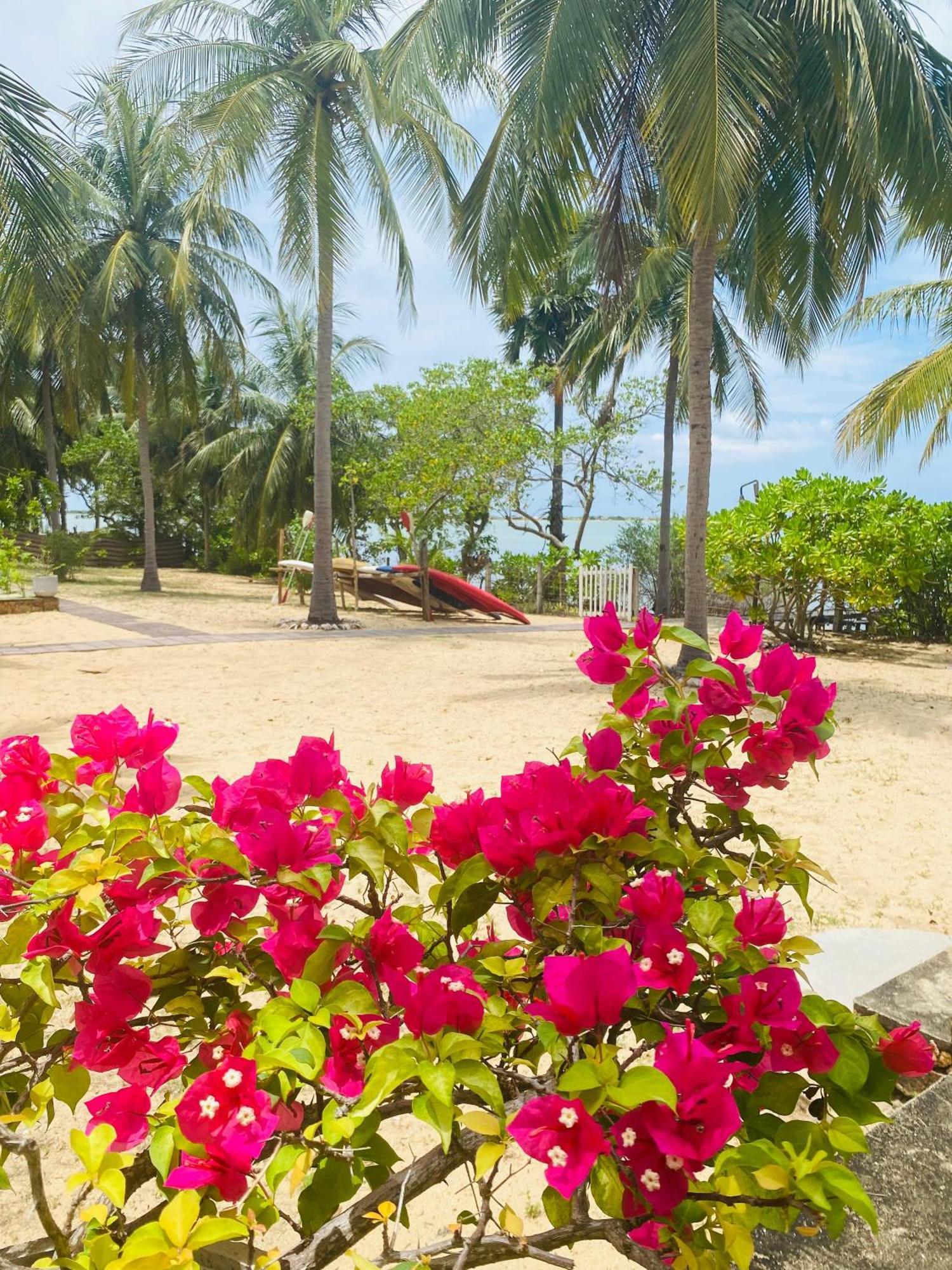 Villa Sethawadi Hotel And Kitesurf Centre Калпития Екстериор снимка